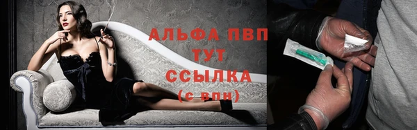гидра Карпинск