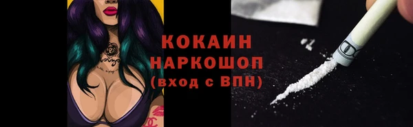 apvp Инта