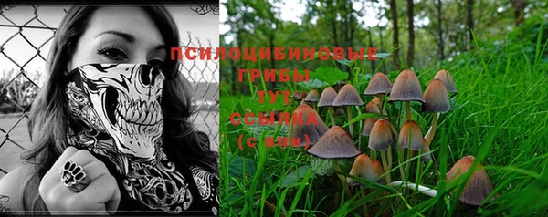 экстази Инсар