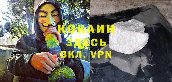 индика Каменка
