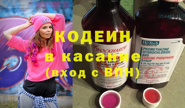 индика Каменка