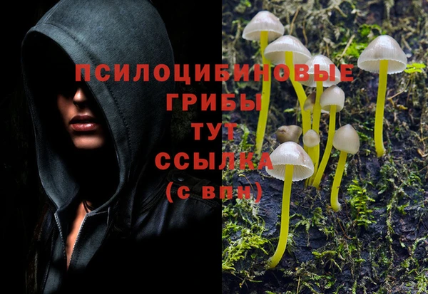 индика Каменка
