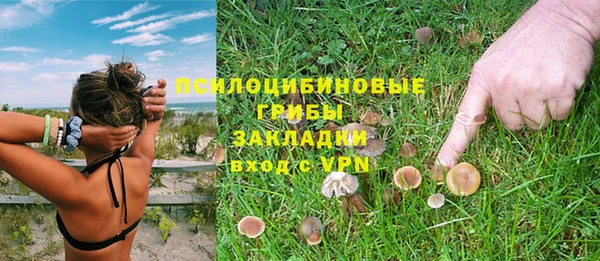 индика Кострома