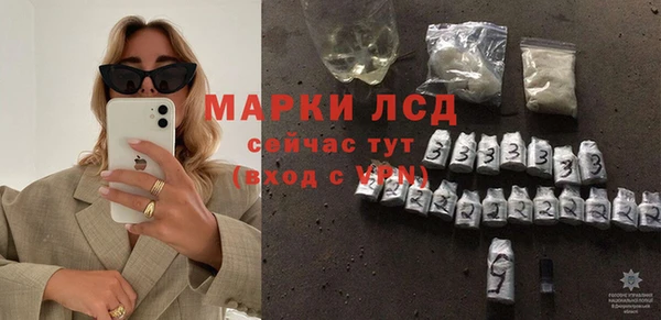 apvp Инта