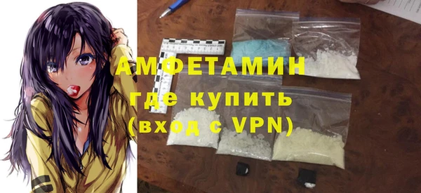 индика Кострома