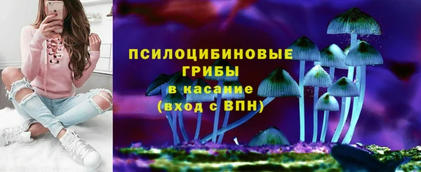 ECSTASY Иннополис