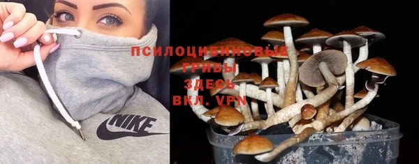 индика Каменка