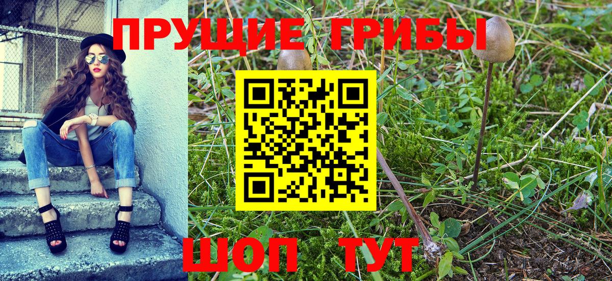 Галлюциногенные грибы мухоморы  Псилоцибиновые грибы Cubensis  Вход с VPN  Буйнакск 
